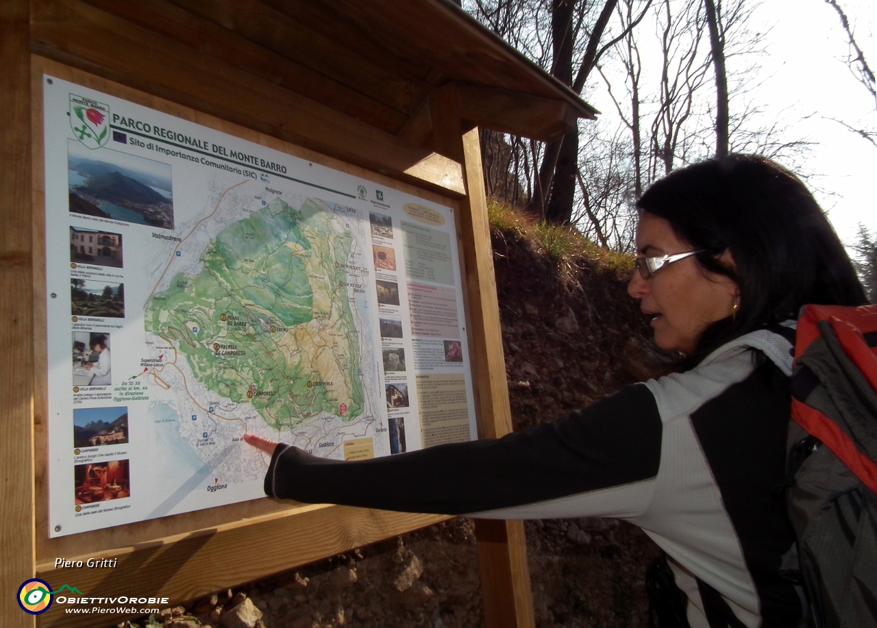 04 Siamo nel Parco regionale del Monte Barro.JPG